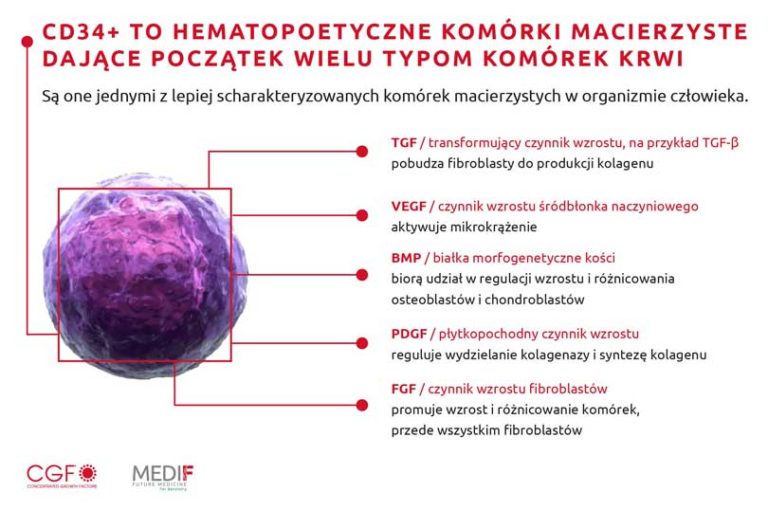 Cgf Komórki Macierzyste Czynniki Wzrostu Dermestetic Szczecin 4811